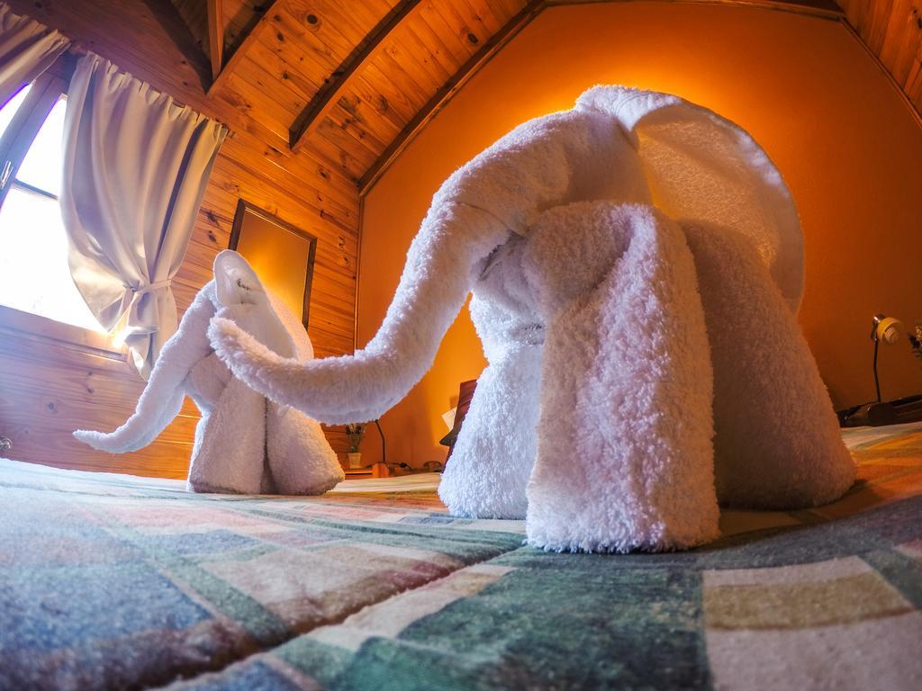 Cabanas De La Patagonia San Martín de los Andes Eksteriør billede